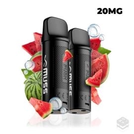 watermelon-ice